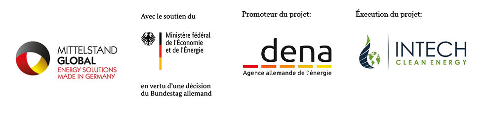 Programme dena RES